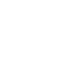 FOUNDATION milestone image