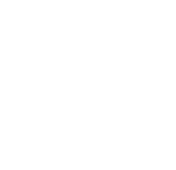MAGNUM OPUS milestone image